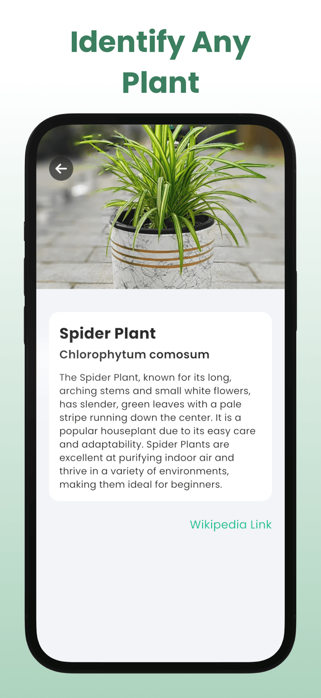 Plant AI - Leaf Identification screenshot 1