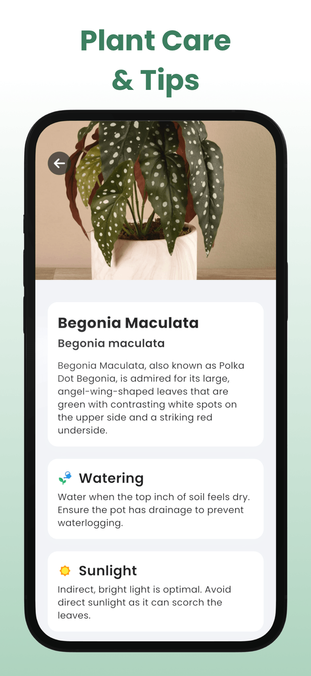 Plant AI - Leaf Identification screenshot 2